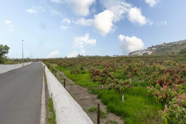 Finca con unas vistas de ensueño en Salobreña — 17