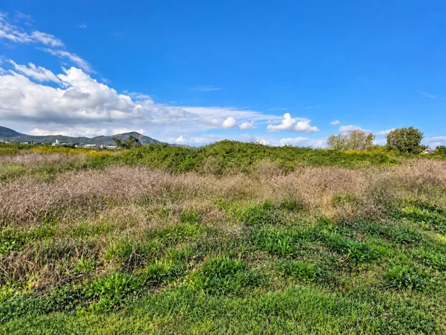 Finca rústica de 6.705 m2 en la zona de els ullals de baltasar, Amposta — 13