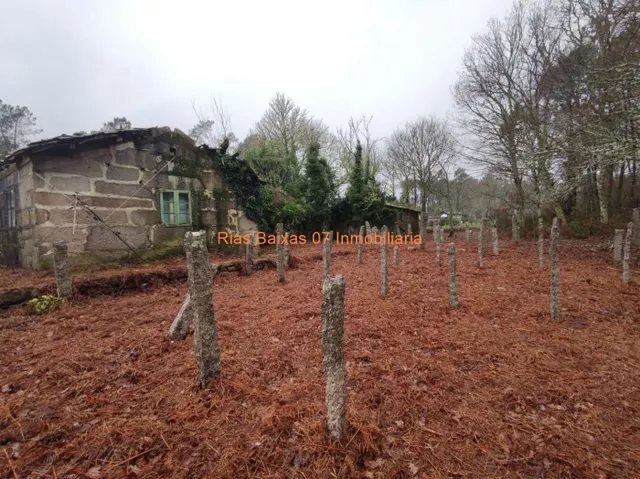 REF  2869 CASA PIEDRA PARA REFORMA INTEGRA CON 4024m2 TERRENO ( PONTEAREAS) — 3