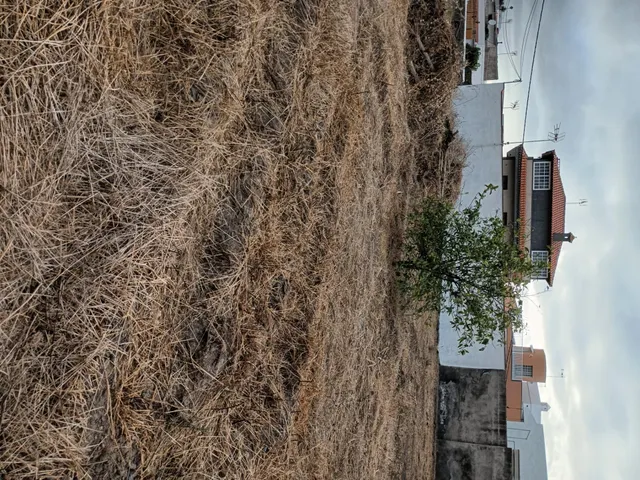 Terreno urbano de 2.500 m2 en Icod de los Vinos | oportunidad para inversores — 37