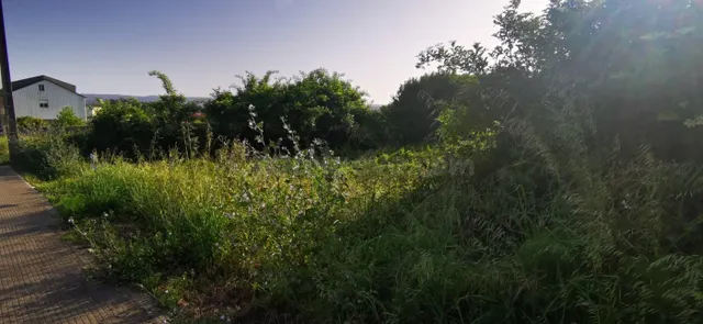 Terreno Urbano en Rúa Compostela - Carretera de Santiago - foto 5