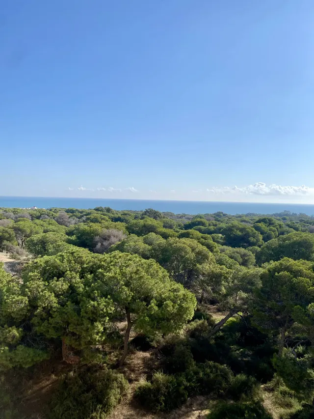 Apartamento 2 habitaciones 100m² en venta - Zona Pueblo — 14
