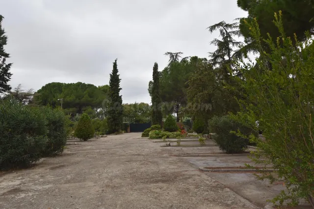 SINGULAR FINCA EN FUENTE EL SAZ DE JARAMA CON LICENCIA APROB - foto 4