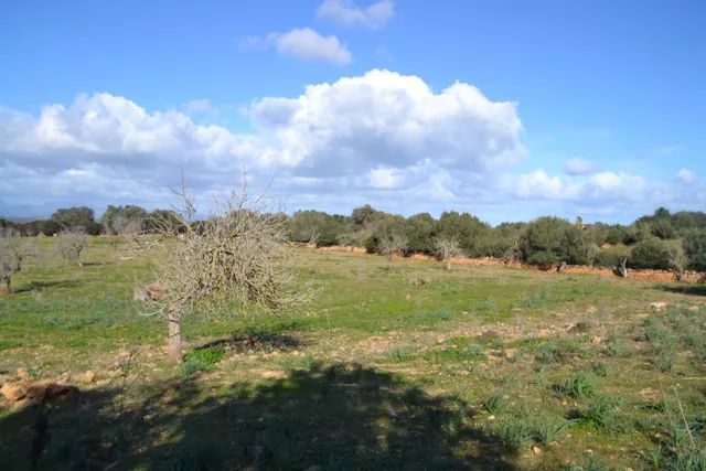 Finca rústica Manacor — 9