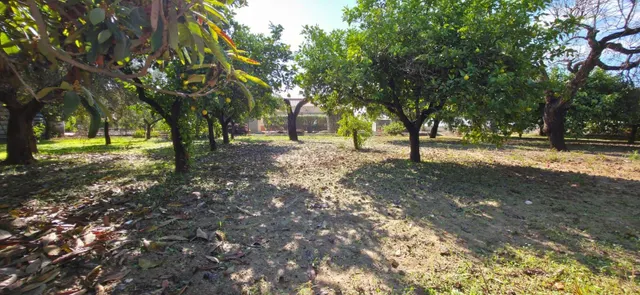 Se vende bonito chalet en partida altabix a 5 minutos de Elche — 5