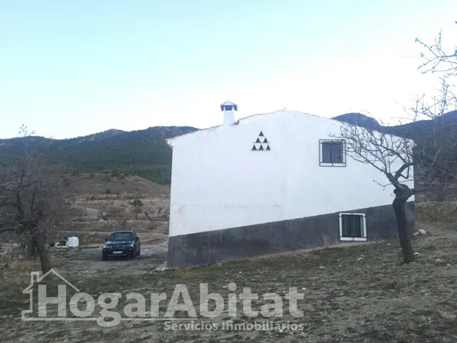 Naturaleza, privacidad y gran producción agrícola en esta singular finca rústica con cortijo tradicional en Vélez-Rubio — 4