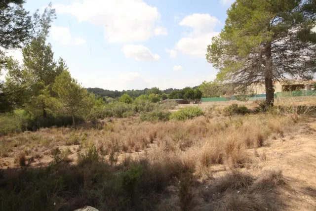SUELO RÚSTICO EN VENTA (MASIA PAVIA TORRENT) - foto 2