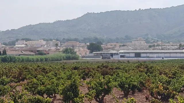 Terreno rústico en venta cerca Pinoso (Alicante) — 3