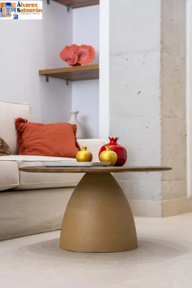 PRECIOSO ESTUDIO DE LUJO EN URBANIZACION TRIUNFO JARDIN — 9