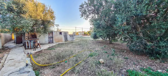 Chalet unifamiliar con árboles frutales en Urb. es Pinaret, Marratxí — 9