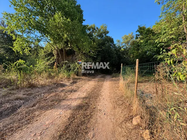 Sarrià de Ter (Girona) | Masía tradicional catalana para rehabilitar con finca rústica de 7.878 m2 — 10