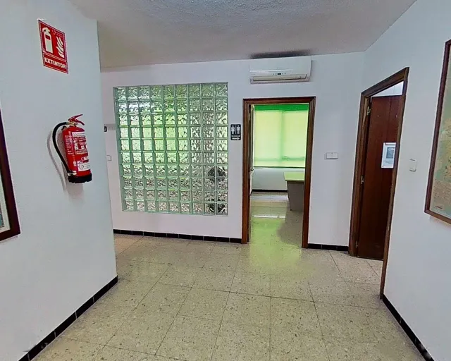 Estupendo local  en centro de Elche — 11
