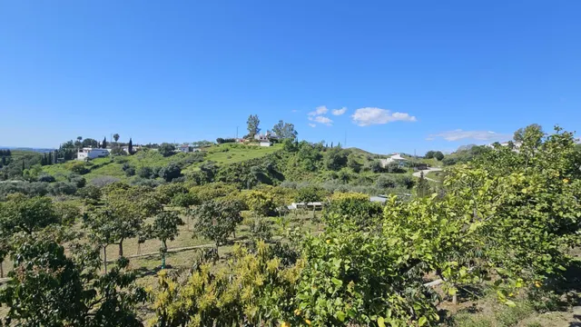 PARCELA RÚSTICA CON CASA DE APEROS  Y ÁRBOLES FRUTALES EN LA ALQUERÍA — 10