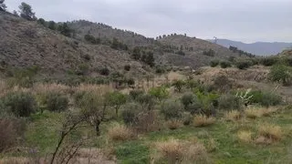 Casa de campo con terreno en Purchena ( Almería ) — 27