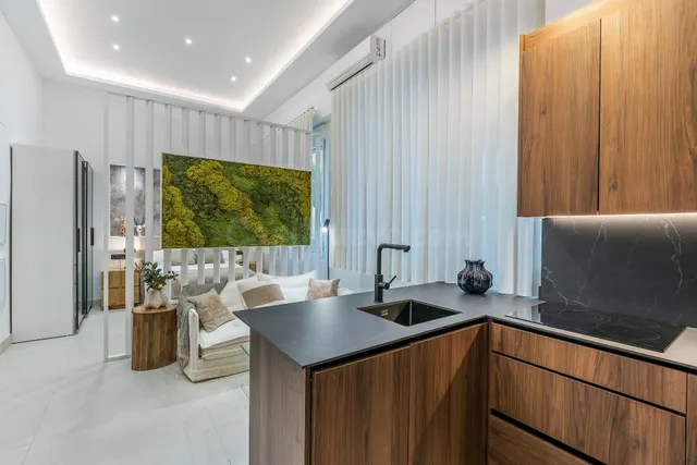PRECIOSO ESTUDIO DE LUJO EN URBANIZACION TRIUNFO JARDIN — 2