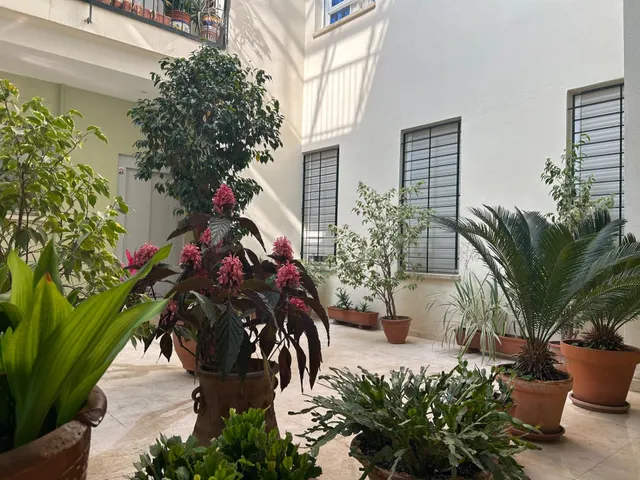 Tu vivienda en el centro de Sevilla con opcion de garaje y y