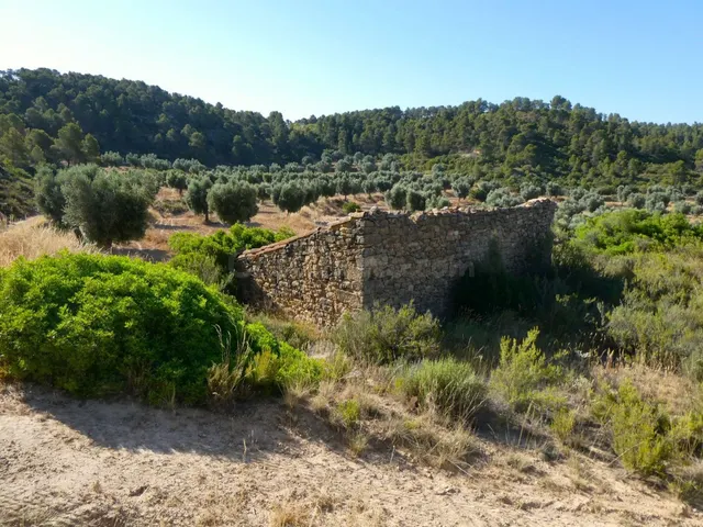Suelo rústico en Venta en Mazaleon Teruel