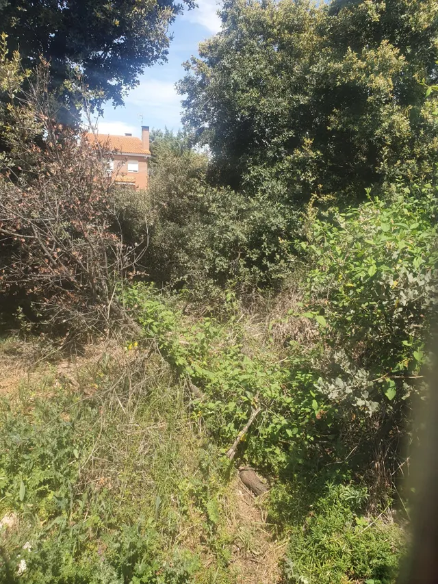 |||| Gran oportunidad de parcela de 826 M2 en Pioz Urbanización La Arboleda ||||| — 4