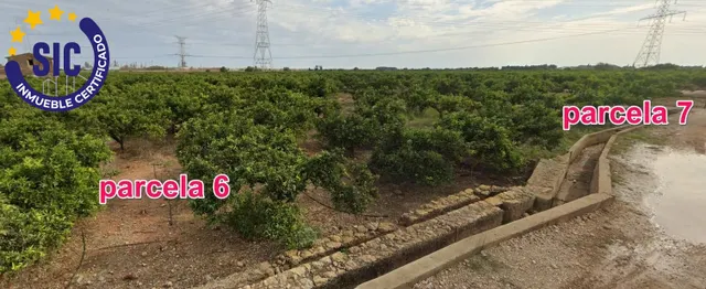 FINCAS RÚSTICA 24 HANEGADAS DE CLEMENTINA EN PRODUCCIÓN CON MASIA Y POZO MUY CERCA DE LA CIUDAD — 14