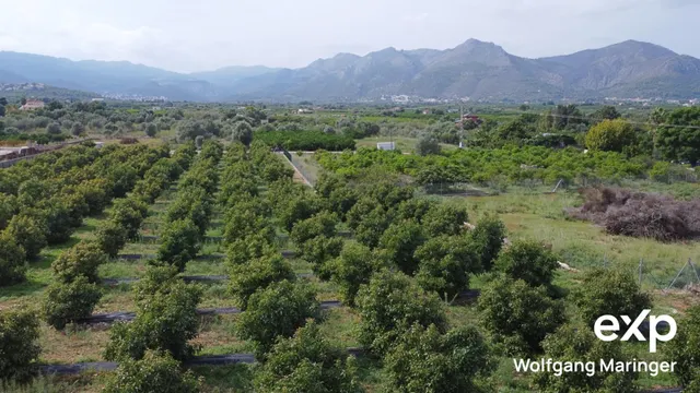 VILLA SEÑORIAL EN BENIDOLEIG | Privacidad, naturaleza y elegancia mediterránea — 16