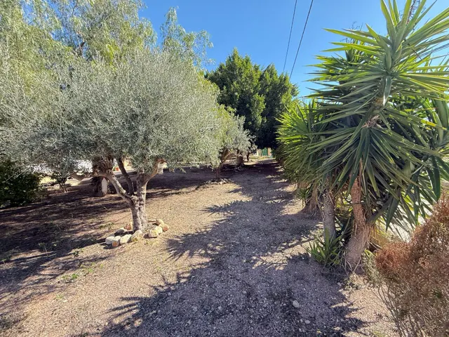 Encantador Chalet en Crevillente con Amplio Terreno y Piscina Propia — 24