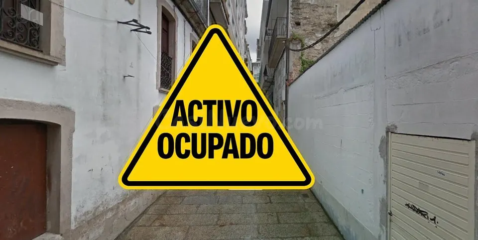 PISO EN VIVEIRO