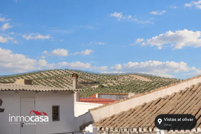 Se vende licencia de estanco única en piñar, Granada — 19