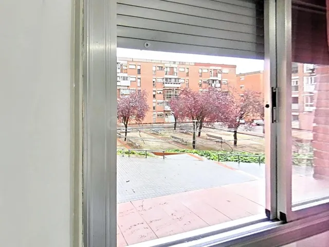 PLANTA BAJA DE 3 habitaciones EN CAN PUIGGENER — 5