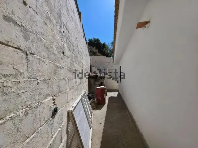 Casa de 120m2, 2 habitaciones, 1 baño en finca rústica de 4.719m2 plantación en producción en venta en Arenas, Vélez - Málaga — 12
