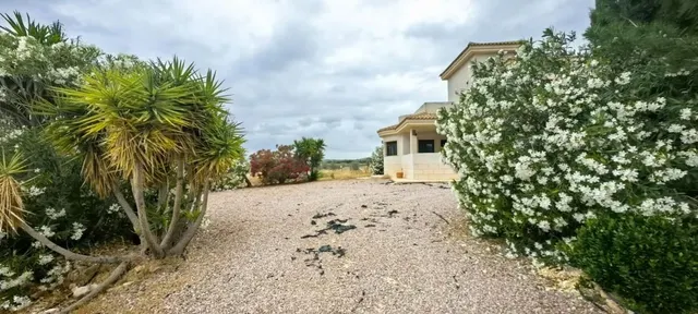 Villa 3 habitaciones 179m² en venta - Comunidad valenciana — 22