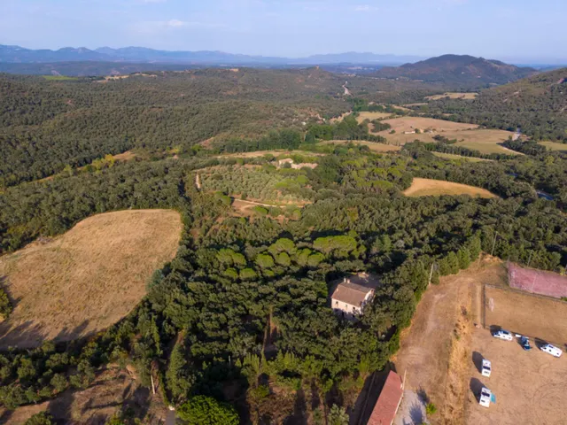 Finca Rustica en venta — 31