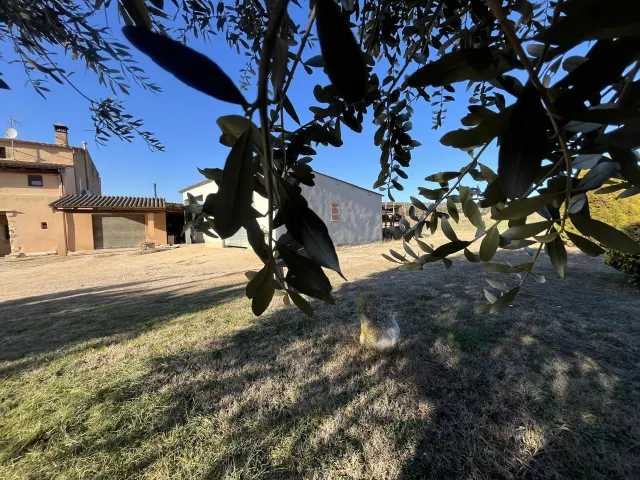 MASIA DEL S.XIX CON GRAN PARCELA — 6