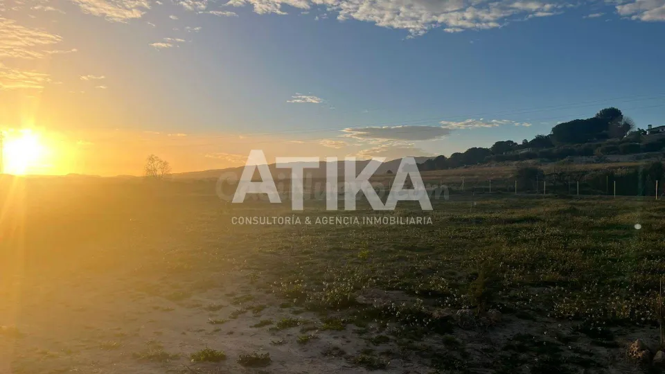 TERRENO DE CULTIVO MEDITERRANEO EN VENTA - AGULLENT