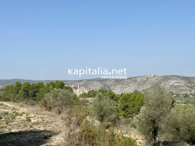 PARCELA A LA VENTA EN BOCAIRENT — 3