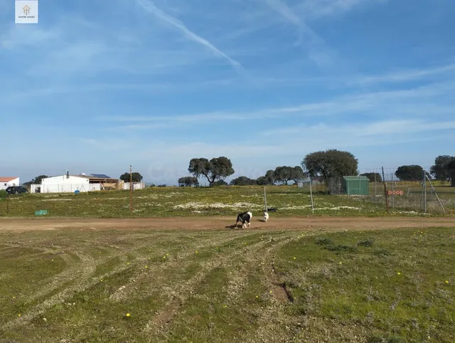 SE VENDE TERRENO en Ctra. Badajoz en Paraje Ramogil - foto 4