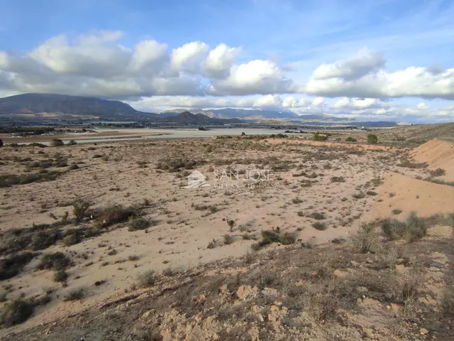 SE VENDE PARCELA RÚSTICA  DE 47.124 M CON CASA DIÁFANA EN ORITO. — 4