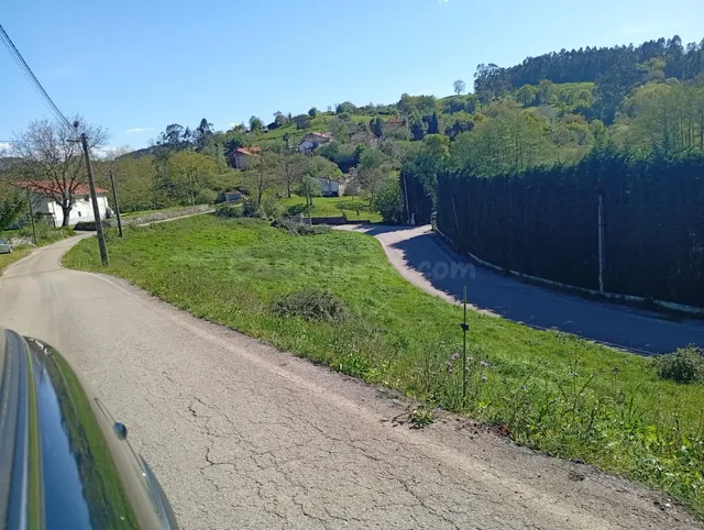 TERRENO EN EL MUNICIPIO DE CARTES; NATURALEZA, PRIVACIDAD Y  - foto 3