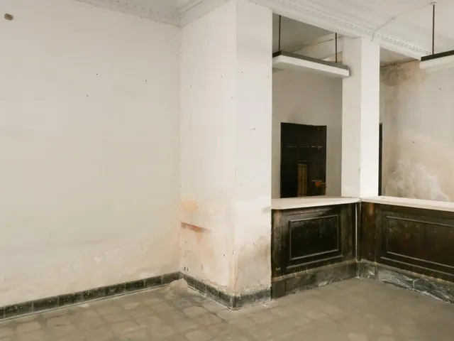 PALACETE HISTÓRICO DE 1900 EN EL CENTRO DE ALBERIC – 14 habitaciones, JARDINES Y GRAN POTENCIAL — 19