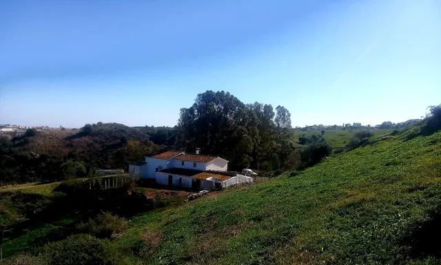 CORTIJO PARA TI Y TUS ANIMALES — 23