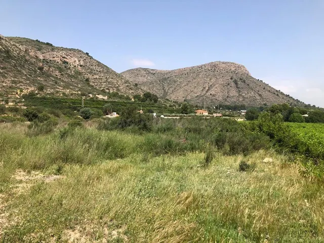 TERRENO EN ASPE — 2
