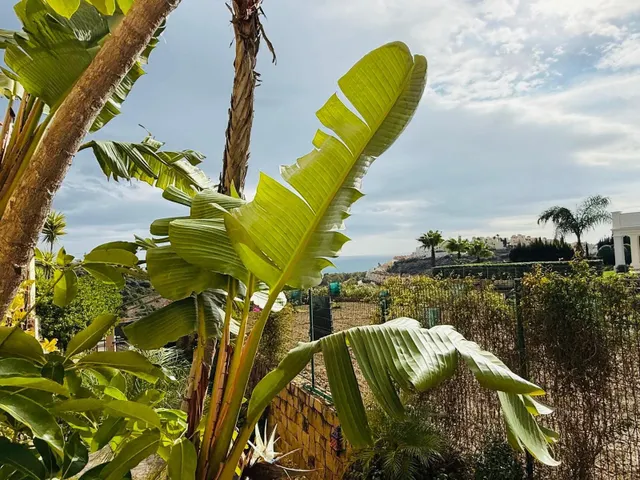 Villa de 5 dormitorios y 5 baños en Casares — 32