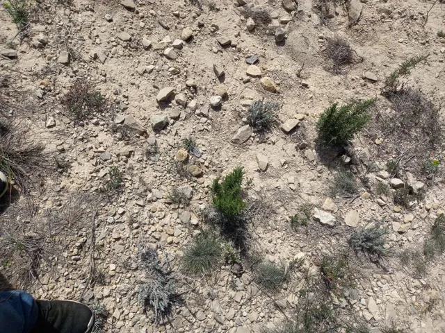 OPORTUNIDAD CASA DE CAMPO CON INMEJORABLES ACABADOS EN FINCA RUSTICA DE BATEA — 42