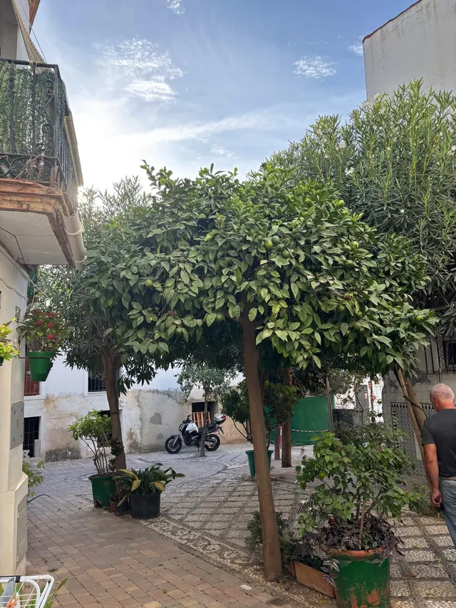 Apartamento a reformar en el Casco Antiguo de Estepona – Ideal para inversión — 14