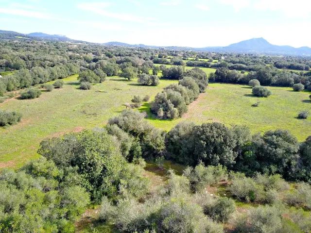 Solar residencial en Venta en Felanitx Baleares - foto 3
