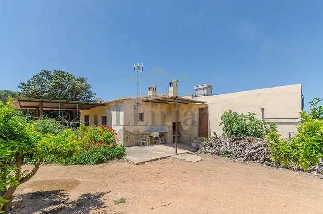 Ref. 04370.- Finca agrícola de 31.000 m2 con explotación de 