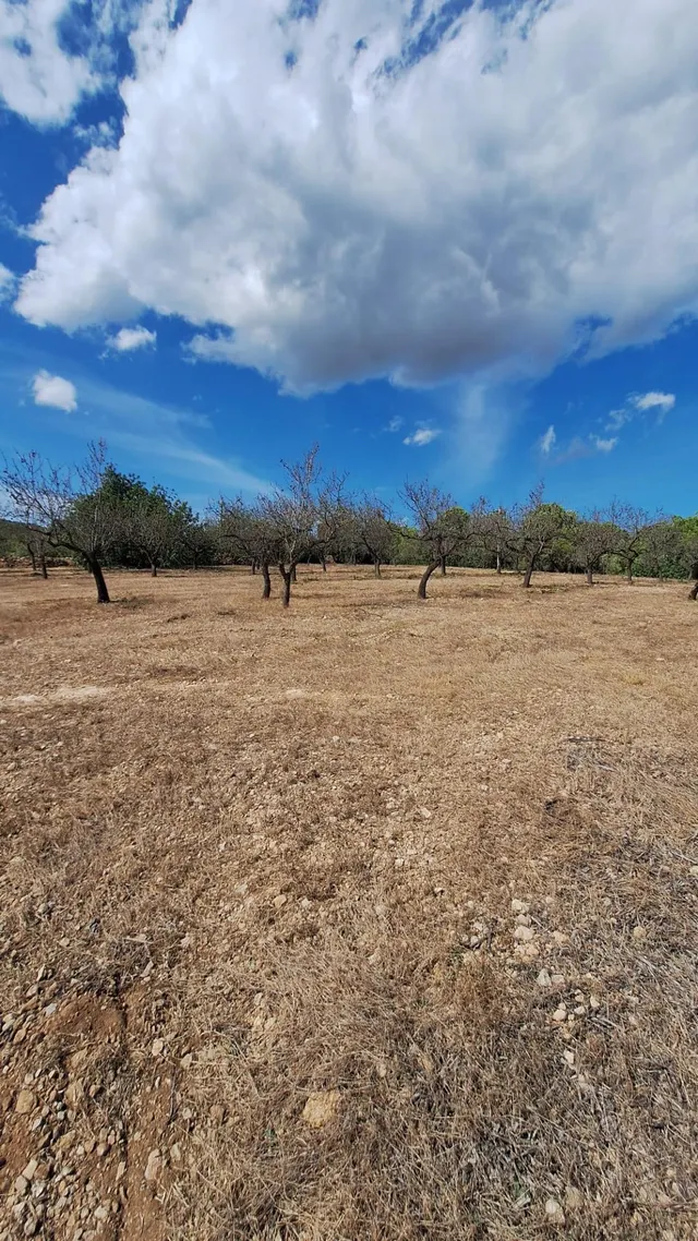 Finca rústica con encanto cerca de El Perelló – 23.000 m2 de naturaleza y tranquilidad — 11