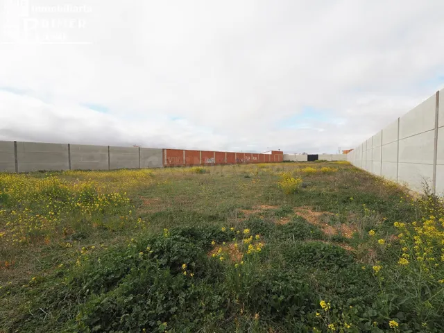 Se vende solar en Tomelloso con 3250m2 de superficie y 25 de - foto 5
