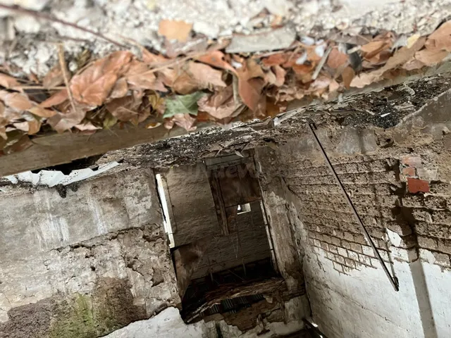 Terreno para construir tu vivienda - foto 5
