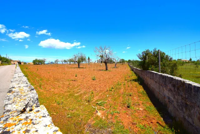 Finca rústica en Santa Margarita - foto 4