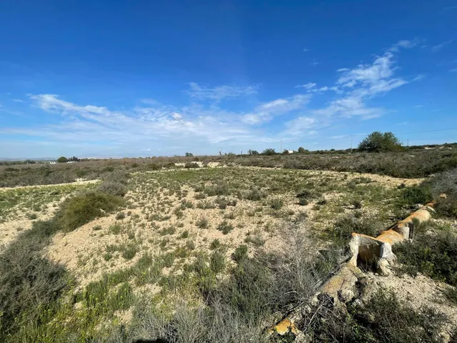 DISFRUTA DEL CAMPO A UN PASO DE LAS PLAYAS DE ELCHE — 11